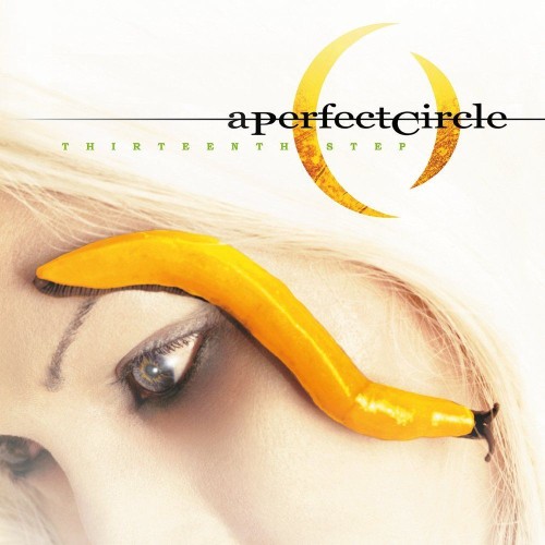 thirteenth step