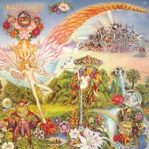 only parrots, frogs & angels