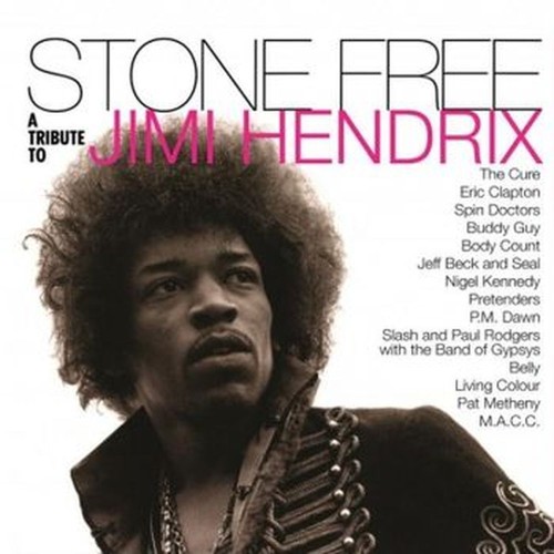stone free (jimi hendrix tribute)
