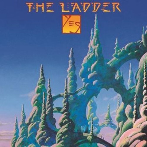 the ladder