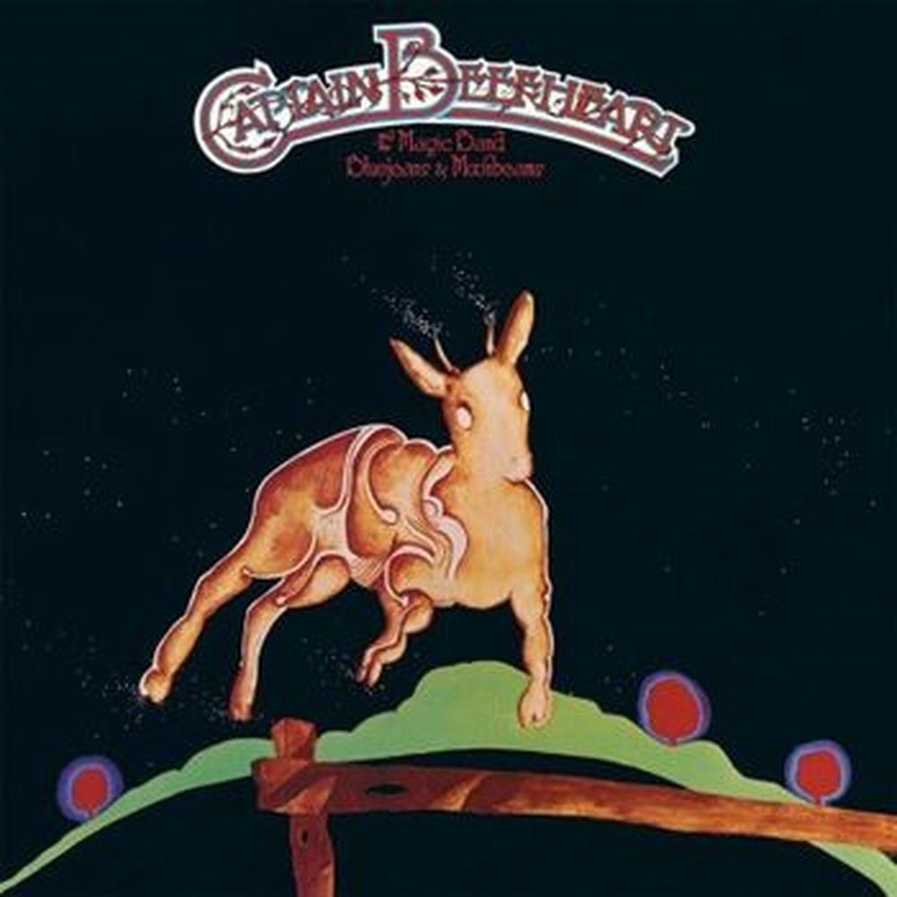 bluejeans & moonbeams