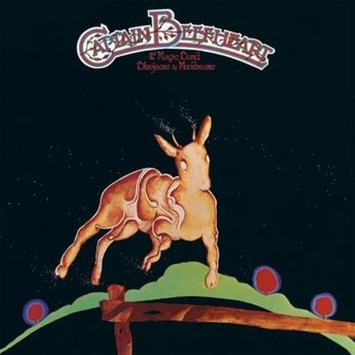 bluejeans & moonbeams