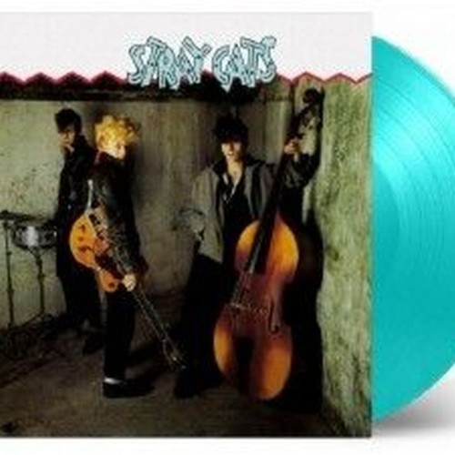 stray cats