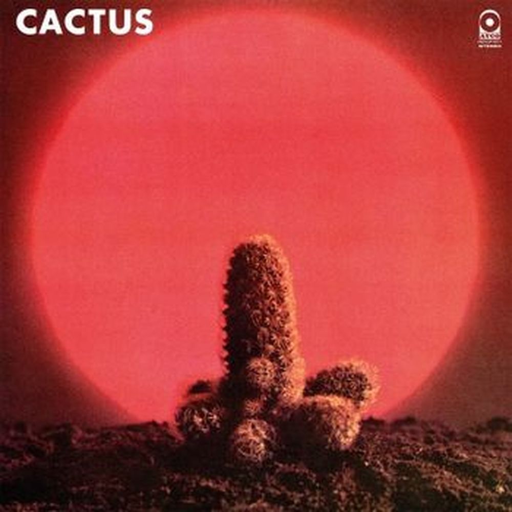 cactus (coloured)