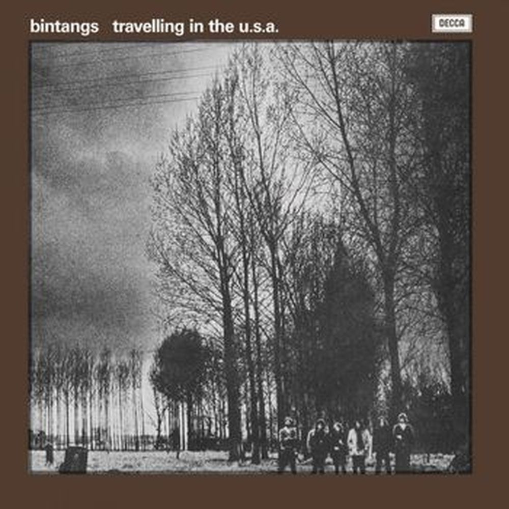 travelling in the usa (white coloured vinyl)
