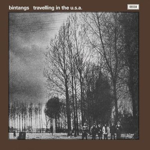 travelling in the usa (white coloured vinyl)