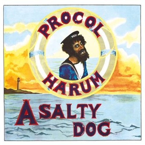 a salty dog