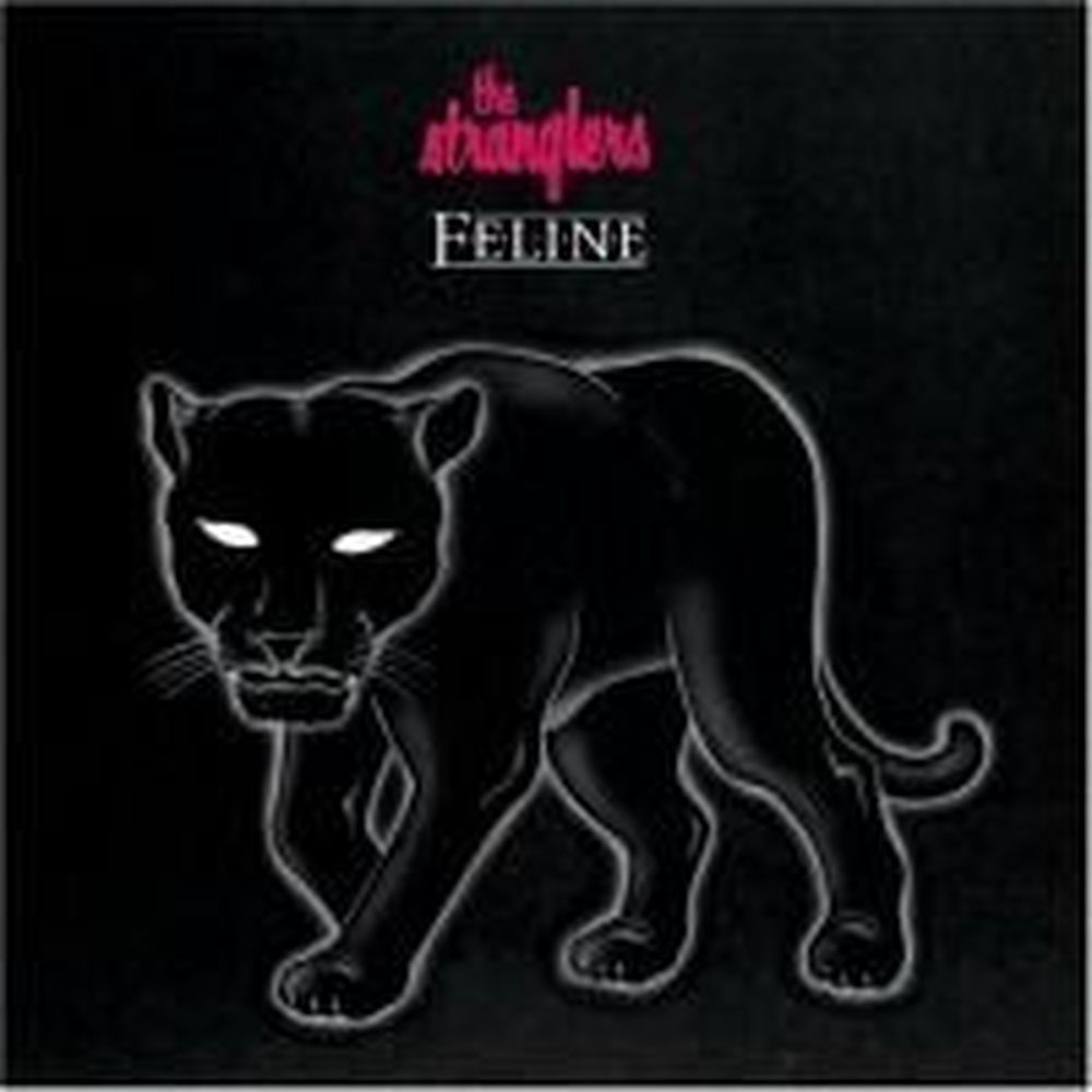 feline