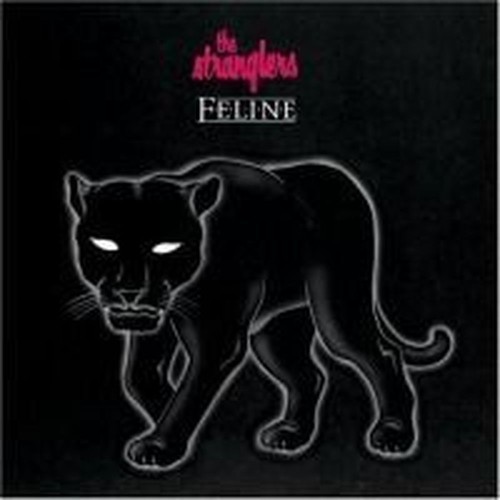 feline