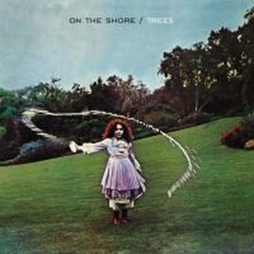 on the shore