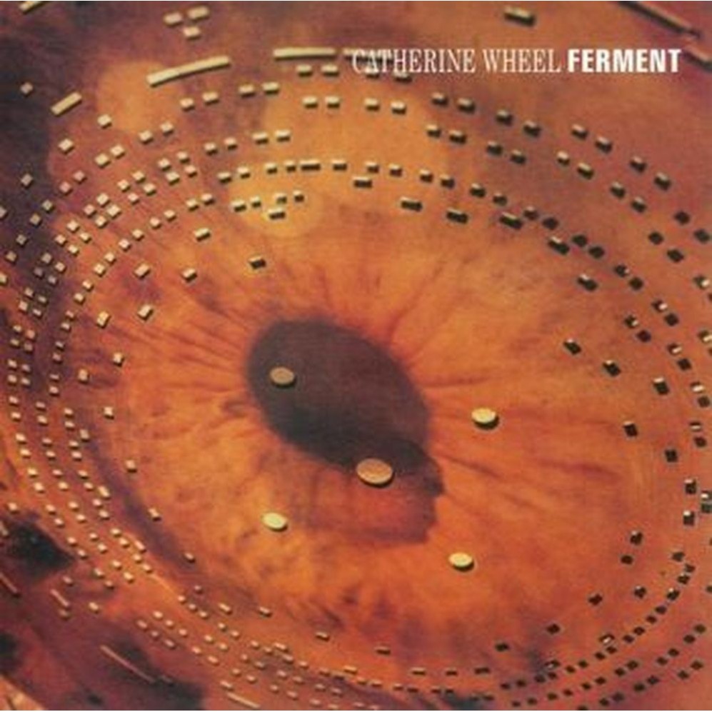 ferment