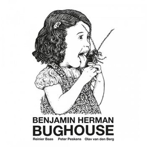 bughouse (coloured)