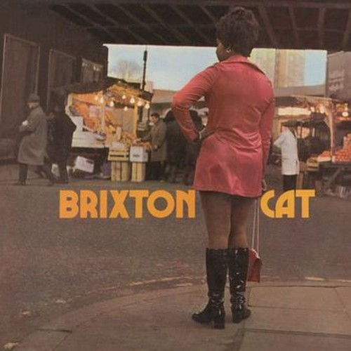 brixton cat (coloured)