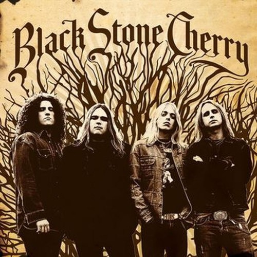 black stone cherry (coloured)