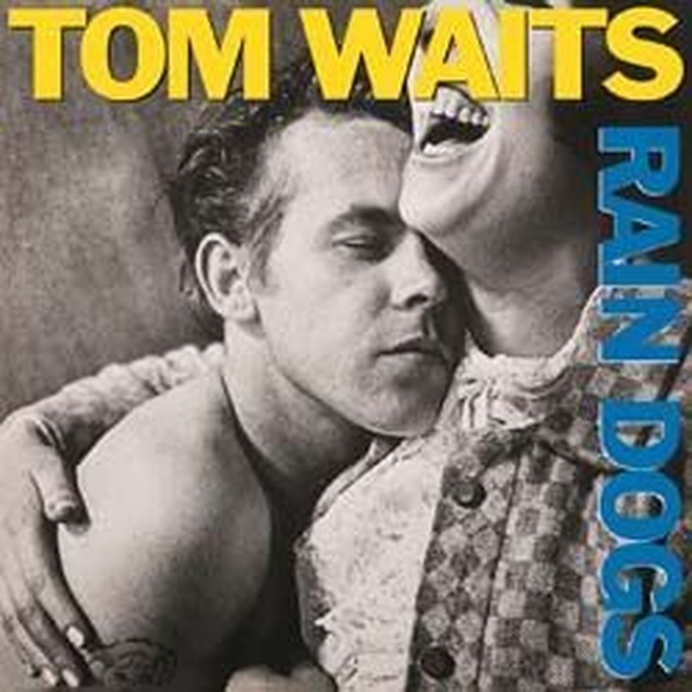 rain dogs
