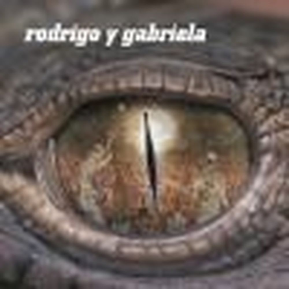 rodrigo y gabriela