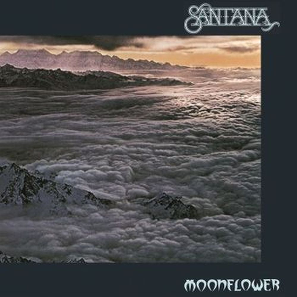 moonflower