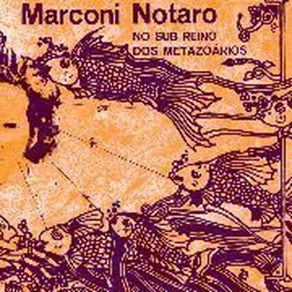 no sub reino dos metazoarios