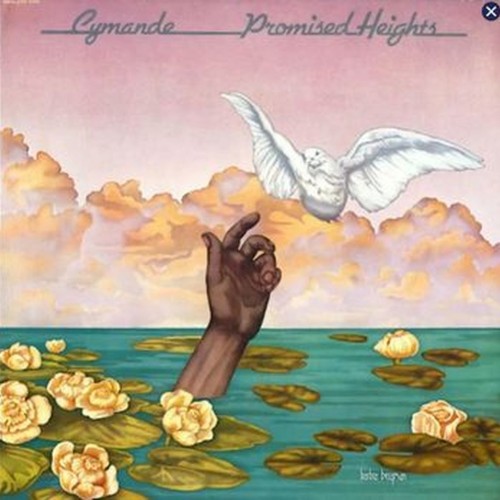 promised heights
