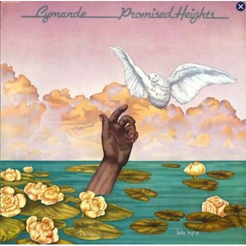 promised heights