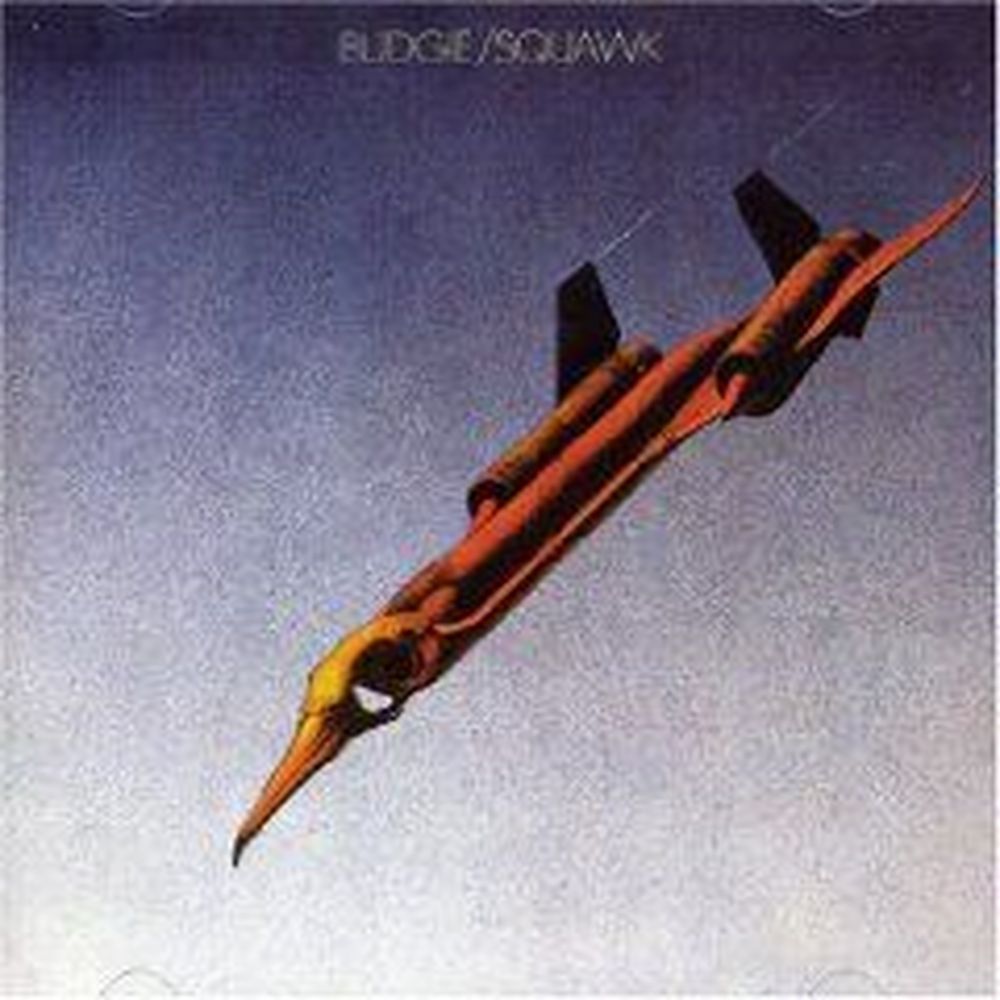 squawk (+4)