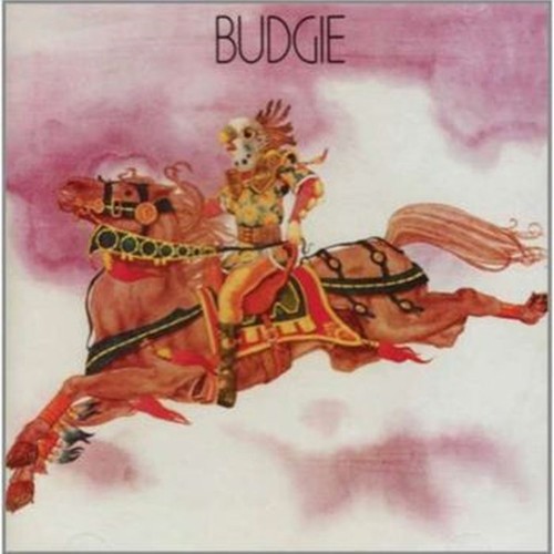 budgie