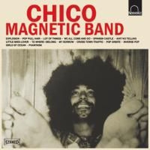 chico magnetic band