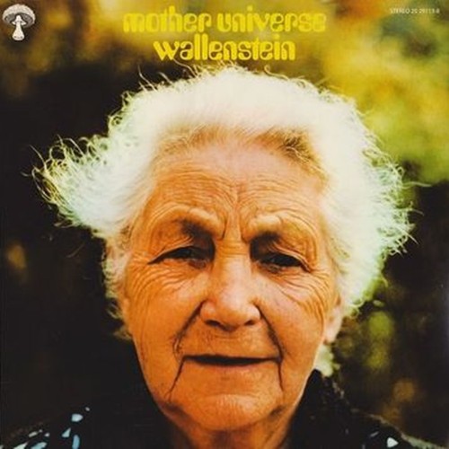 mother universe