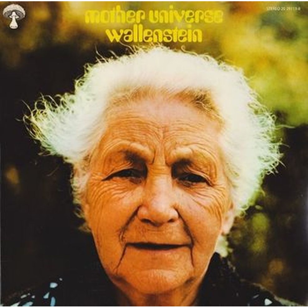 mother universe