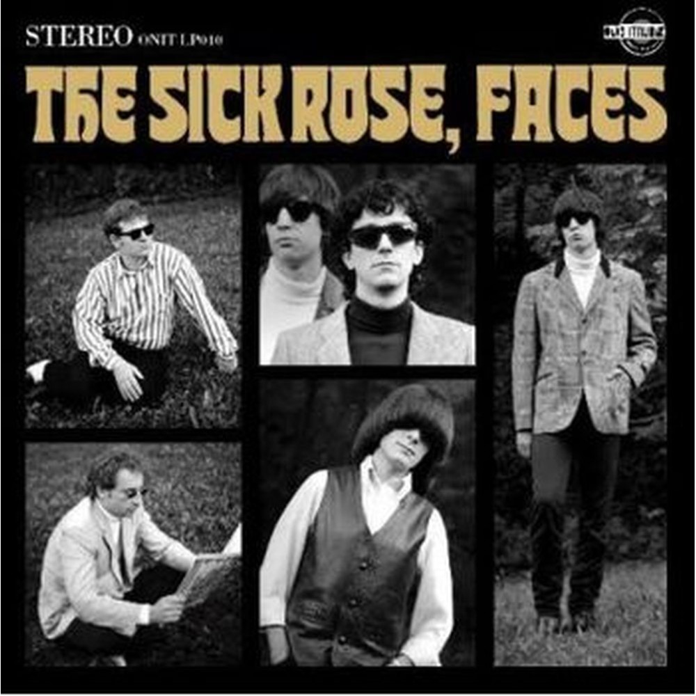 faces