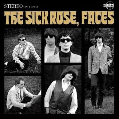 faces
