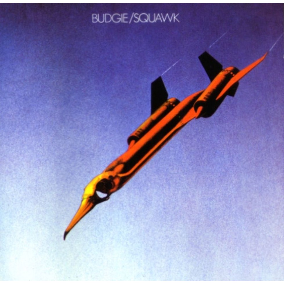 squawk