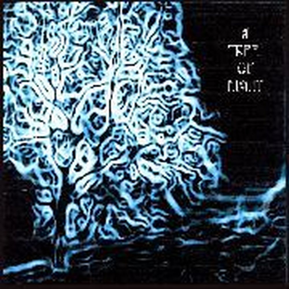 a tree of night
