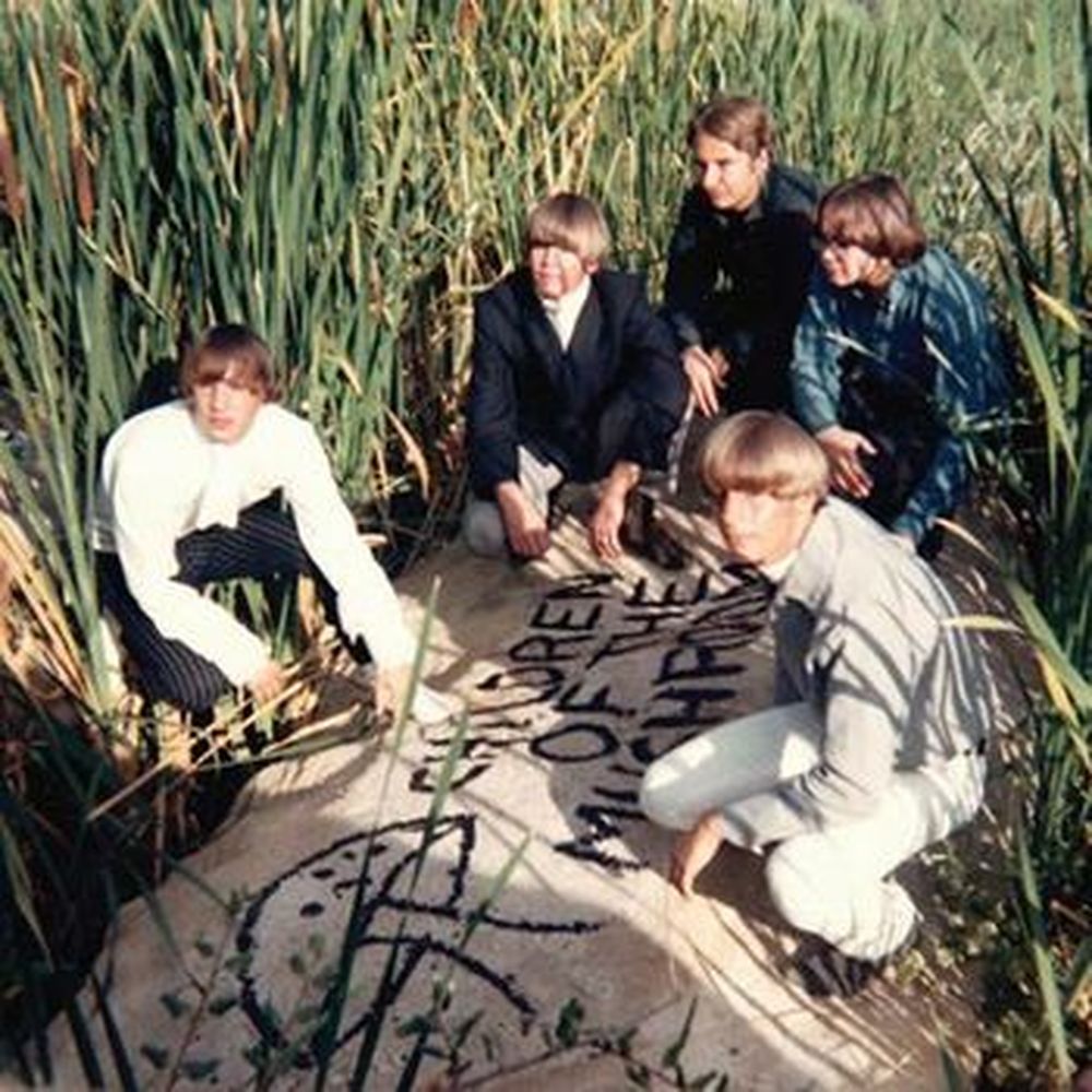 children of the mushroom