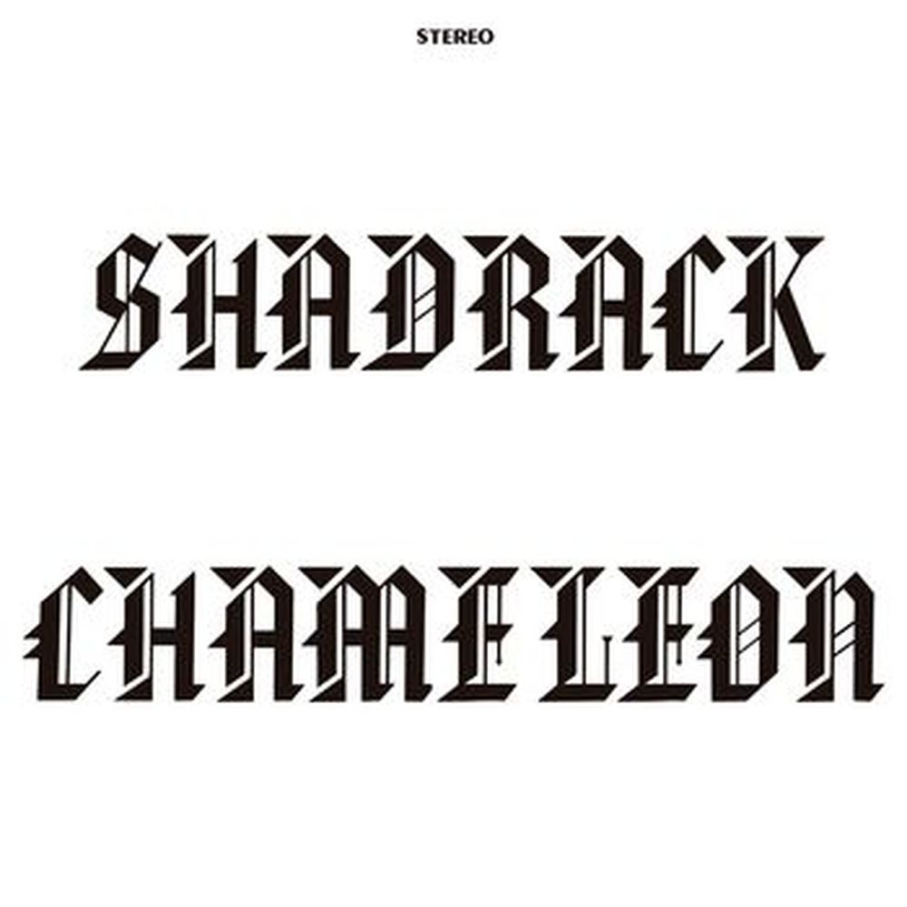 shadrack chameleon