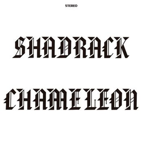 shadrack chameleon
