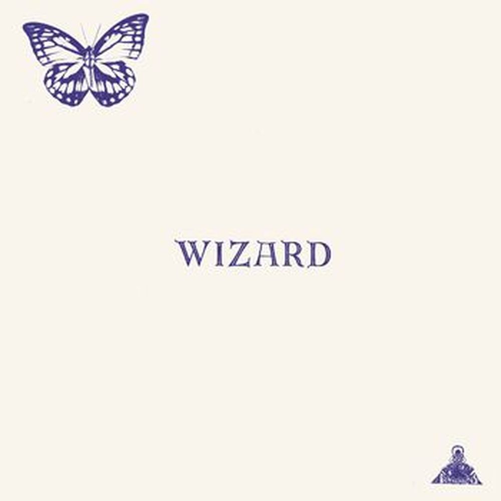 the original wizard