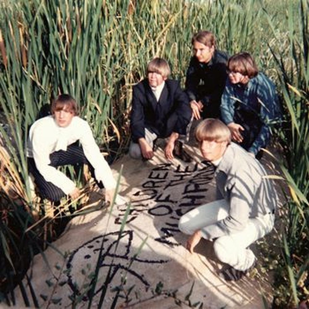 children of the mushroom