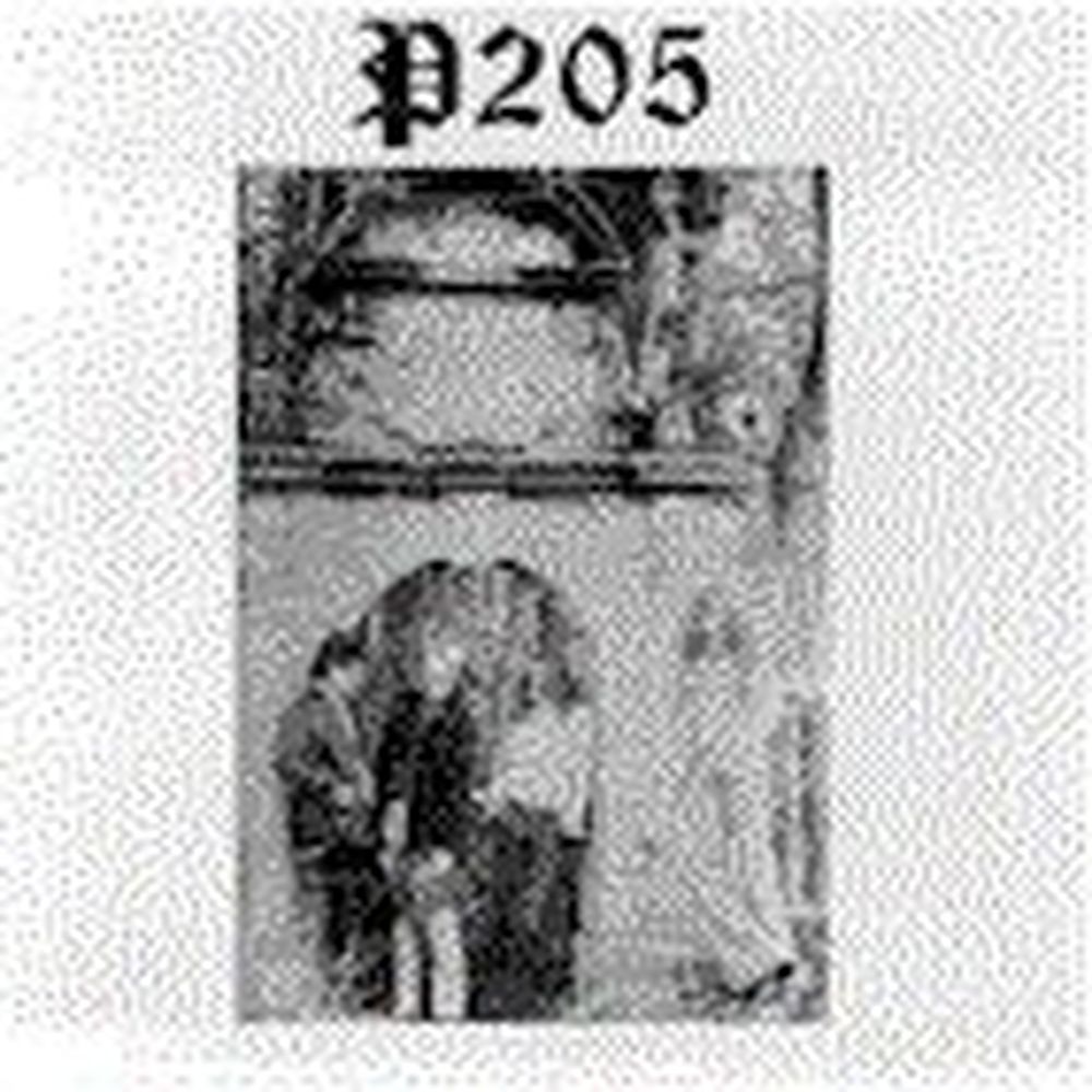 p2o5 - the pre-vinyl tracks
