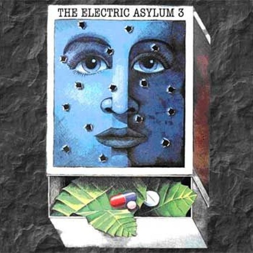 the electric asylum 3 - rare british acid freakrock