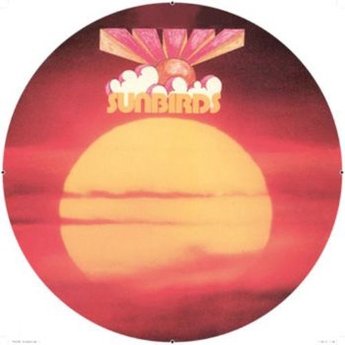sunbirds (picture dIsc)
