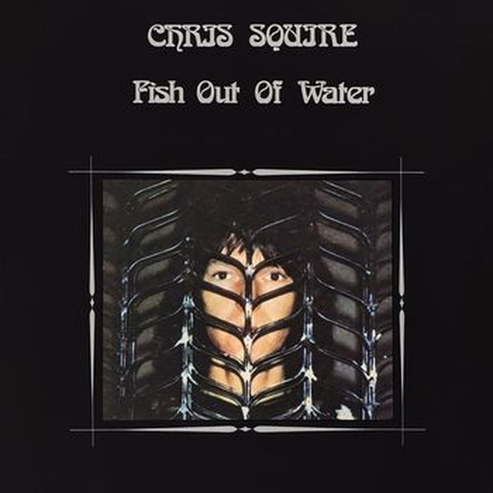 fish out of water
