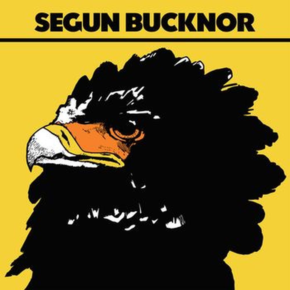 segun bucknor