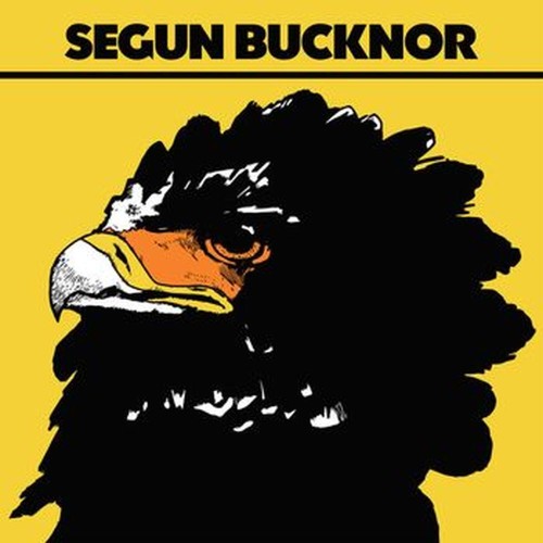 segun bucknor
