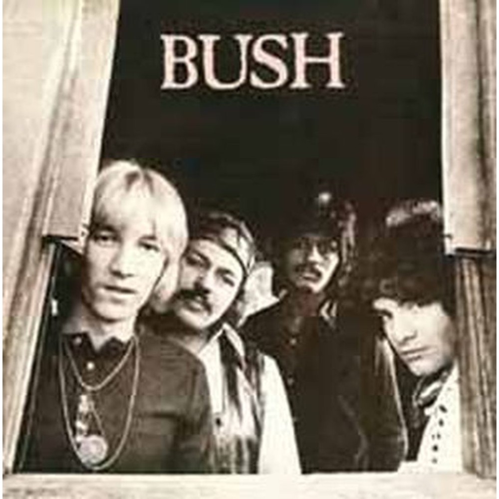 bush