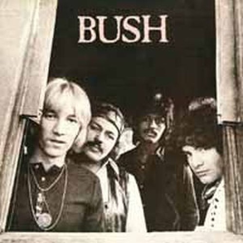 bush