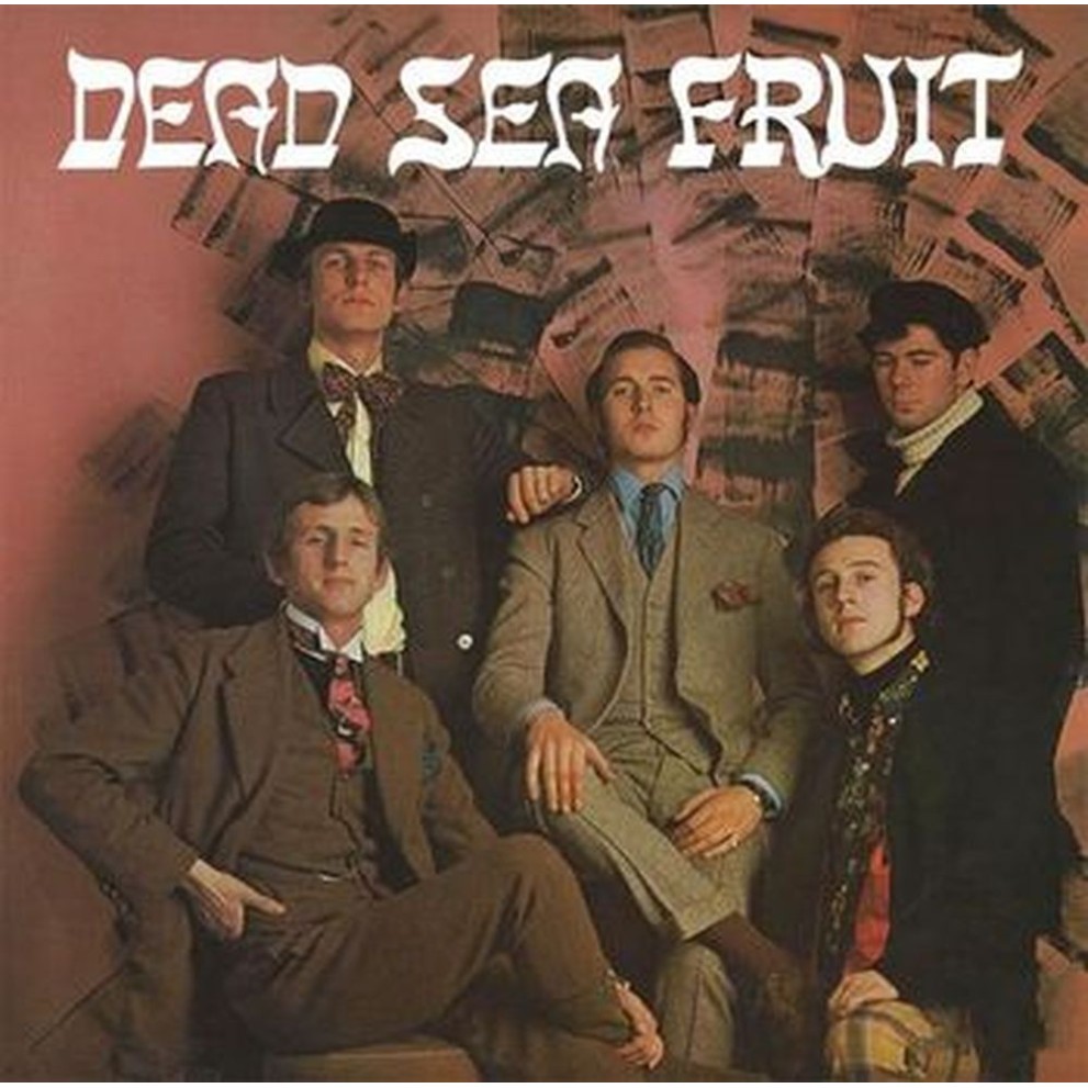 dead sea fruit