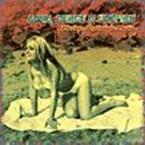 mexican psychedelic music