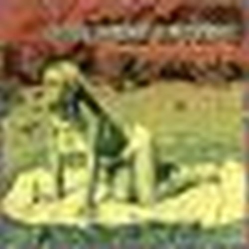 mexican psychedelic music