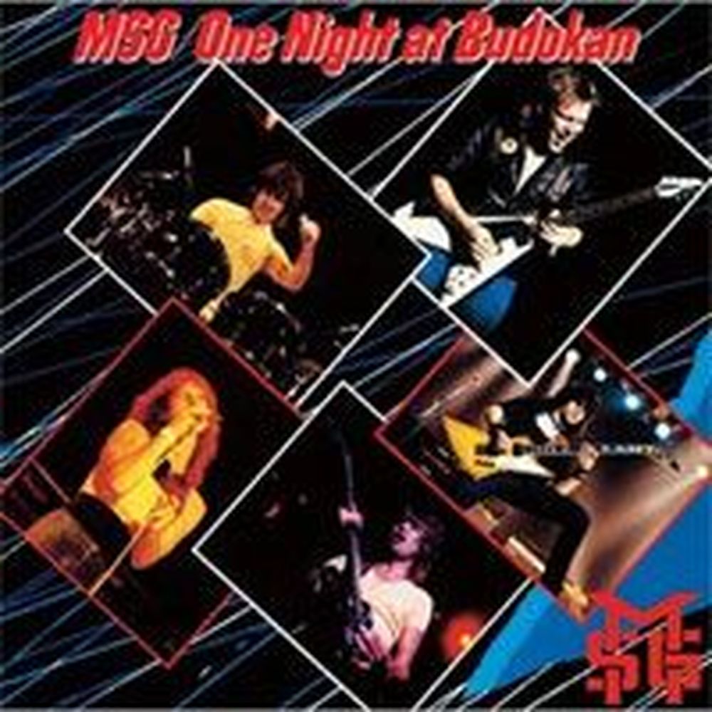 one night at budokan